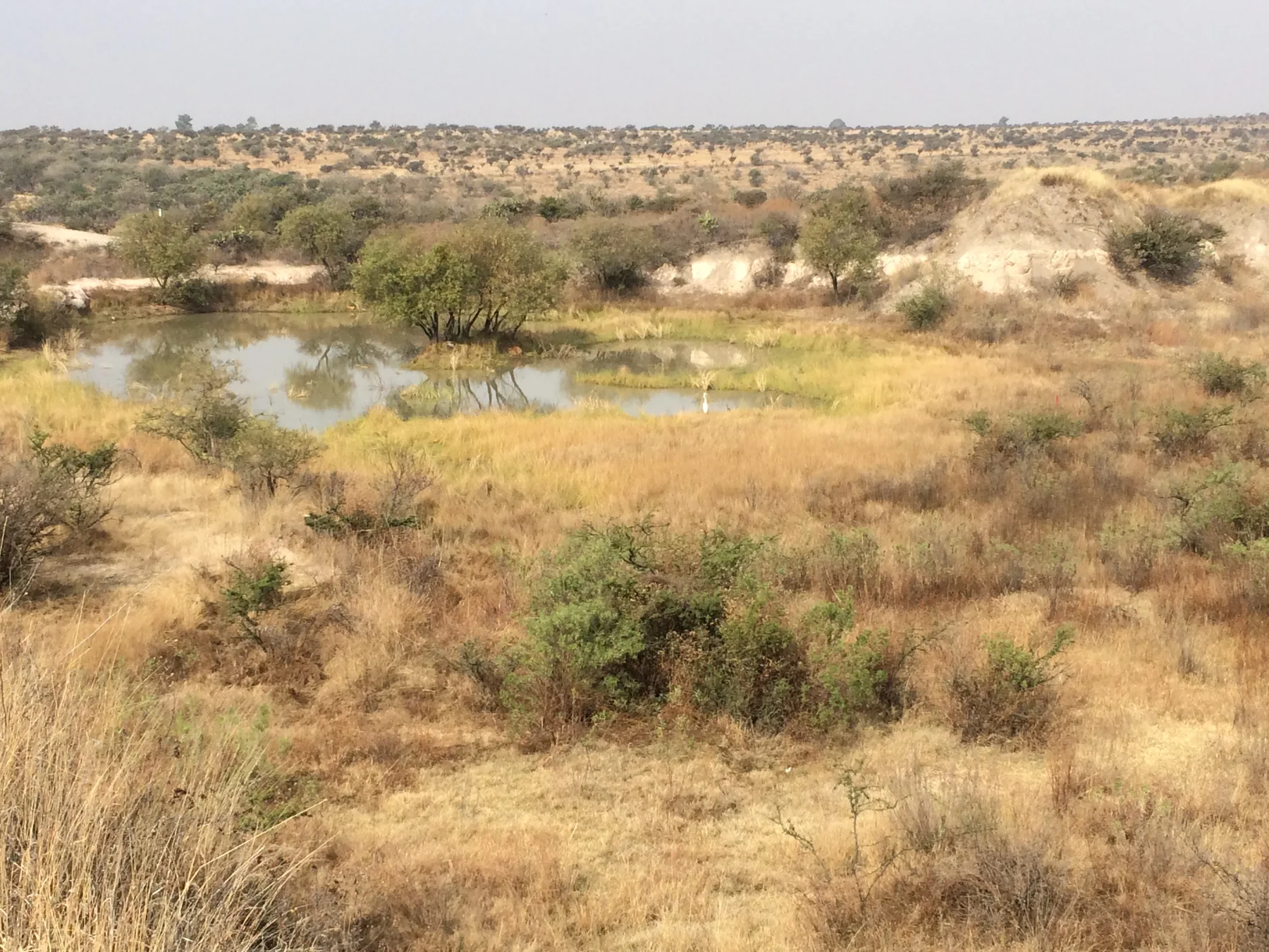 Cuerpo de agua observado durante trabajo de campo
